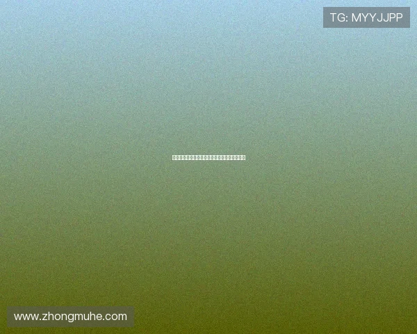 中国队与梦之队阵容对比分析谁能在比赛中胜出