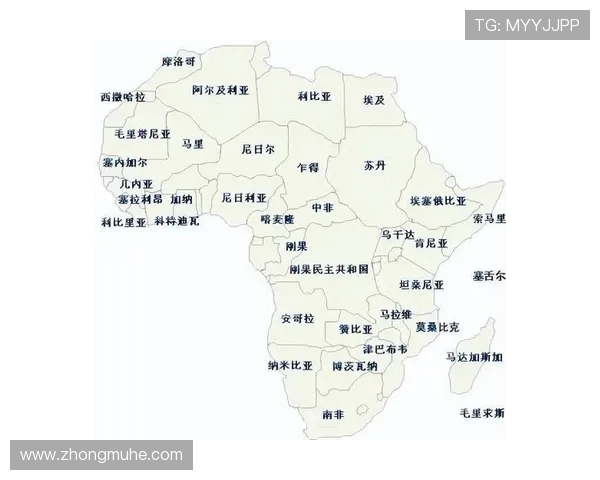 尼日利亚与阿尔及利亚足球对决全面分析及战术解读